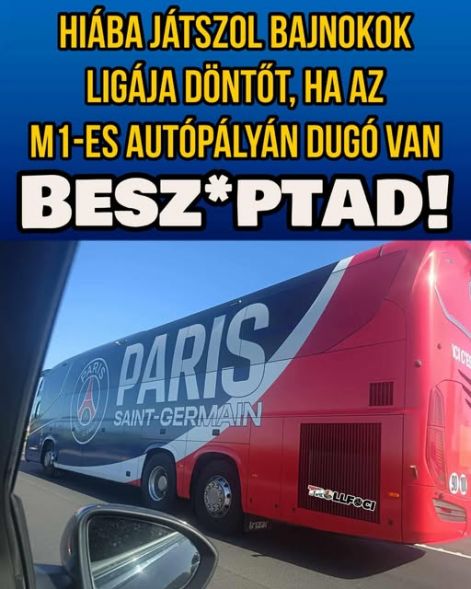 bl_donto.jpg