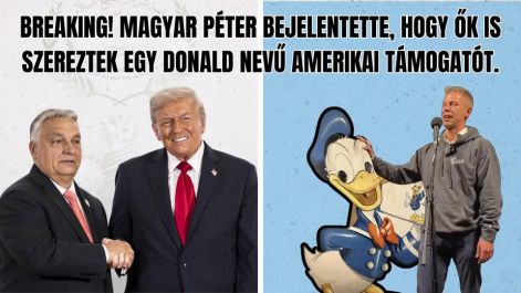 donald_kacsa.jpg