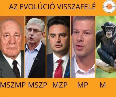 evolucio.jpg