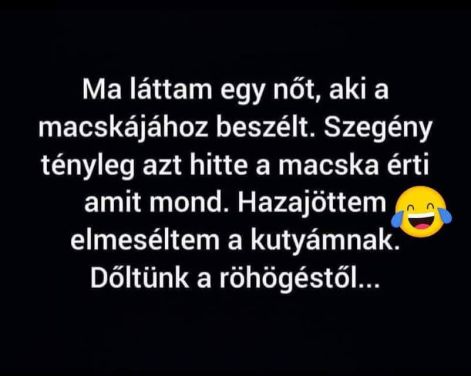 macska.jpg