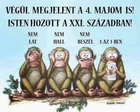 majom.jpg