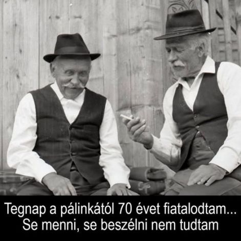palinka.jpg